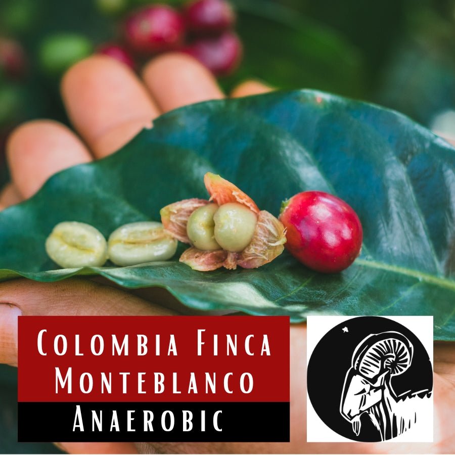 Colombia Finca Monteblanco Anearobic