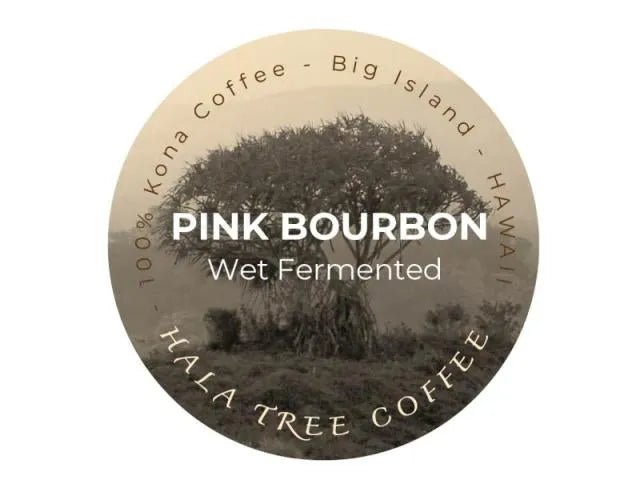 Kona Pink Bourbon - Hala Tree Auction Lot