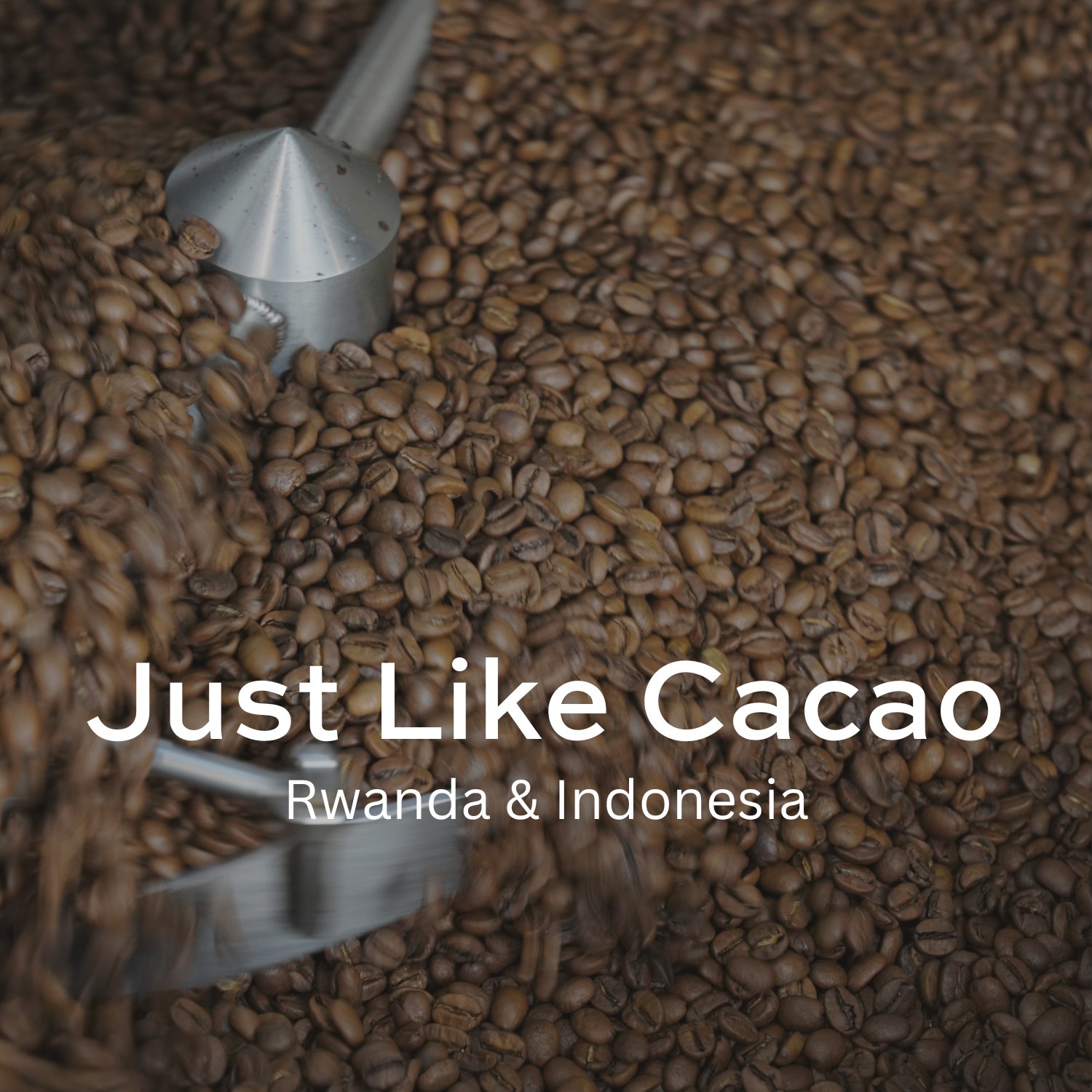 Just Like Cacao