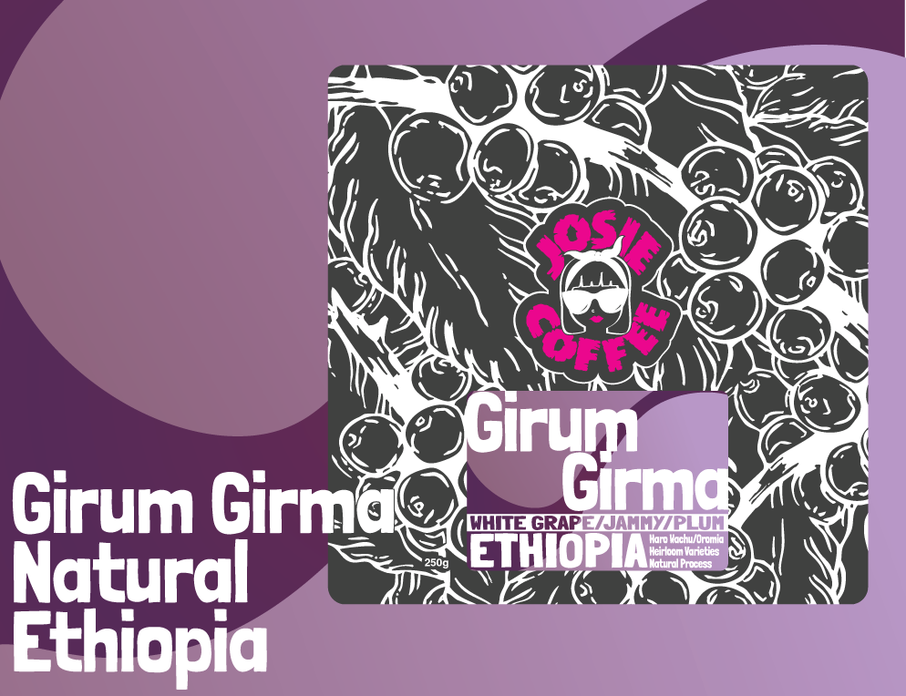 Ethiopia - Girum Girma - Natural Process