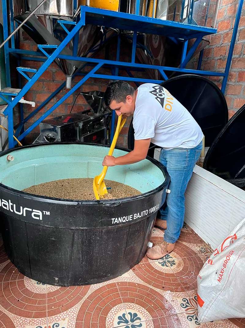 Colombia Finca Las Flores Sidra Bourbon FILTER