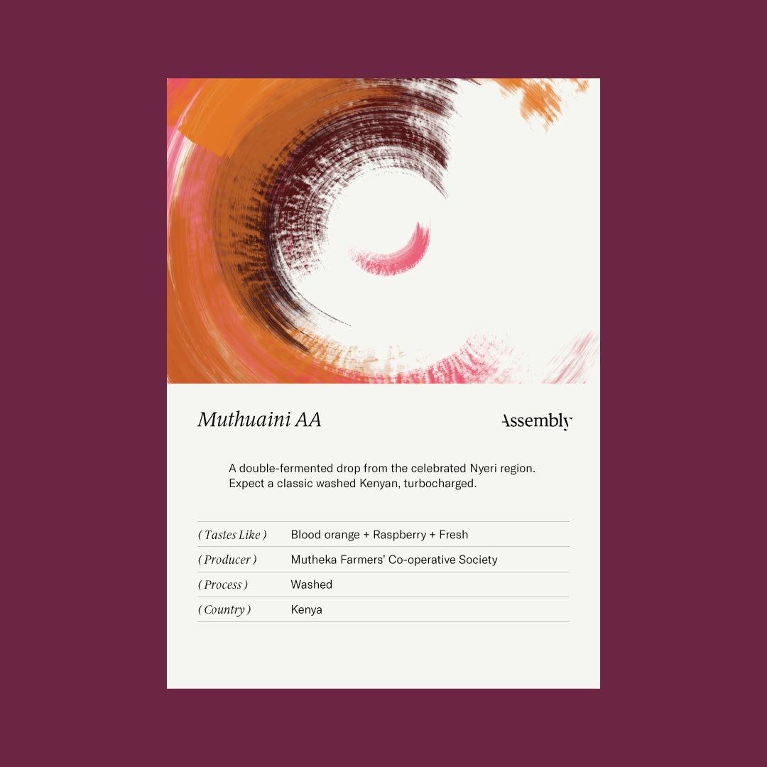 Kenya — Muthuaini AA Taste Card