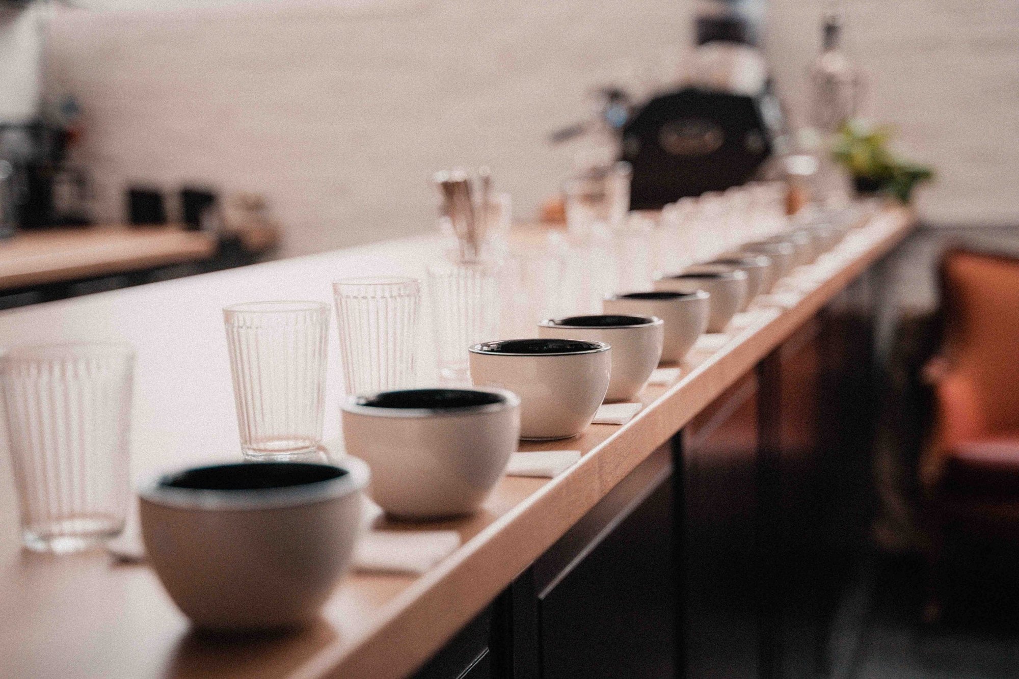 Coffee Tasting · Cupping Session · Wiesbaden Mauergasse (Terminbuchung)