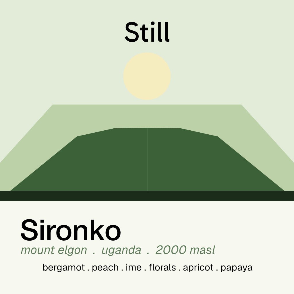 mount elgon sironko
