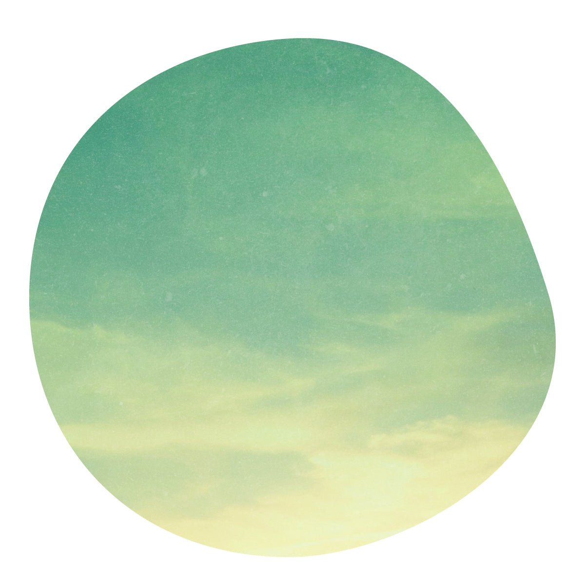 【NEW】EDGARDO TINOCO -Geisha- / Honduras