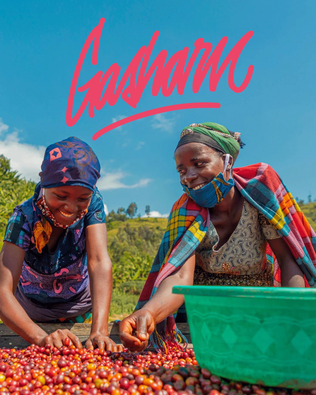 Gasharu · Ruanda · Bourbon · Anaerobic Natural