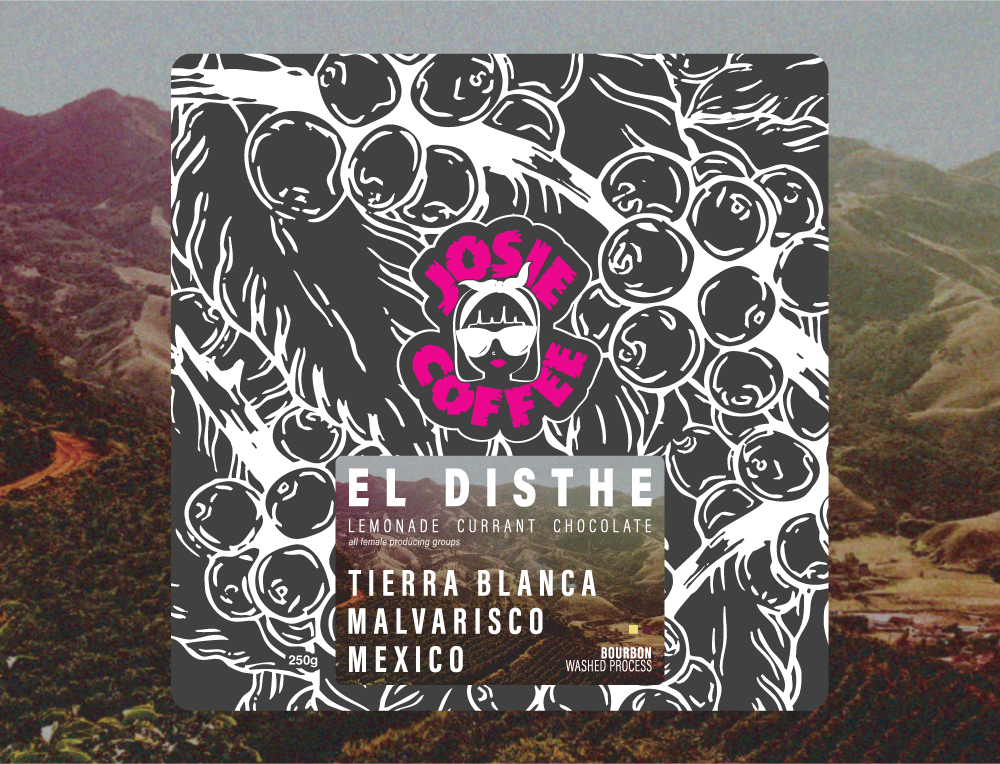 Mexico - El Disthe - Bourbon - Washed Process
