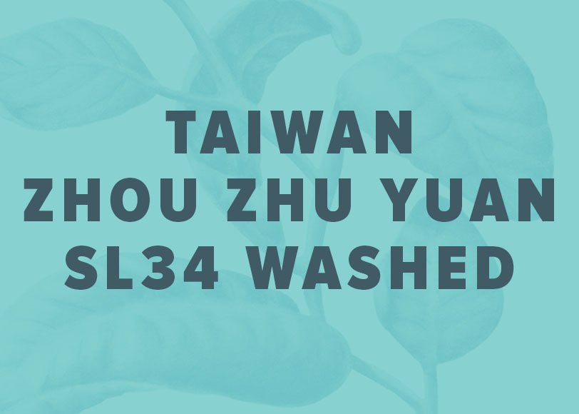 Taiwan Zhou Zhu Yuan SL34