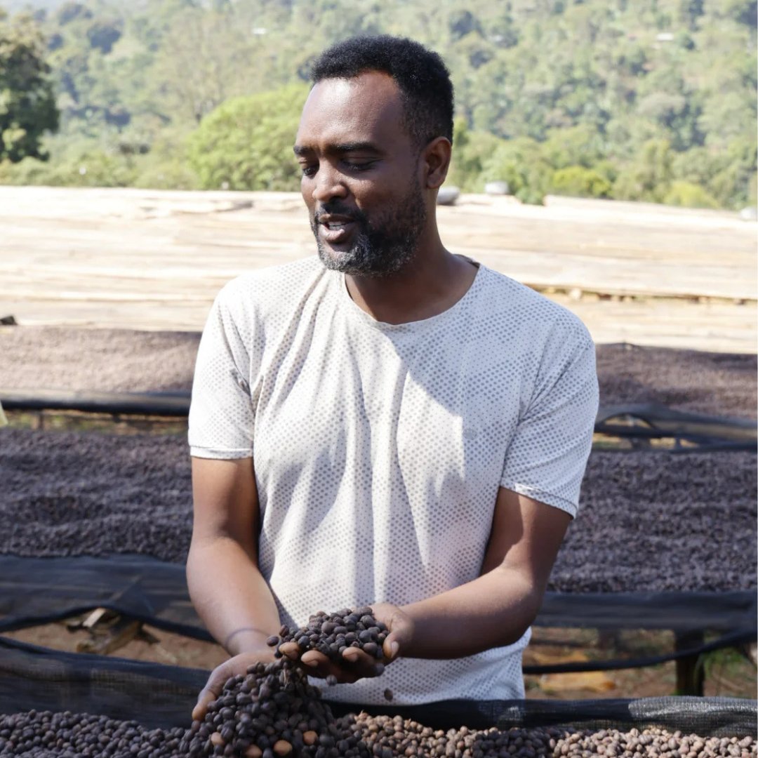 Ethiopia Danche Natural