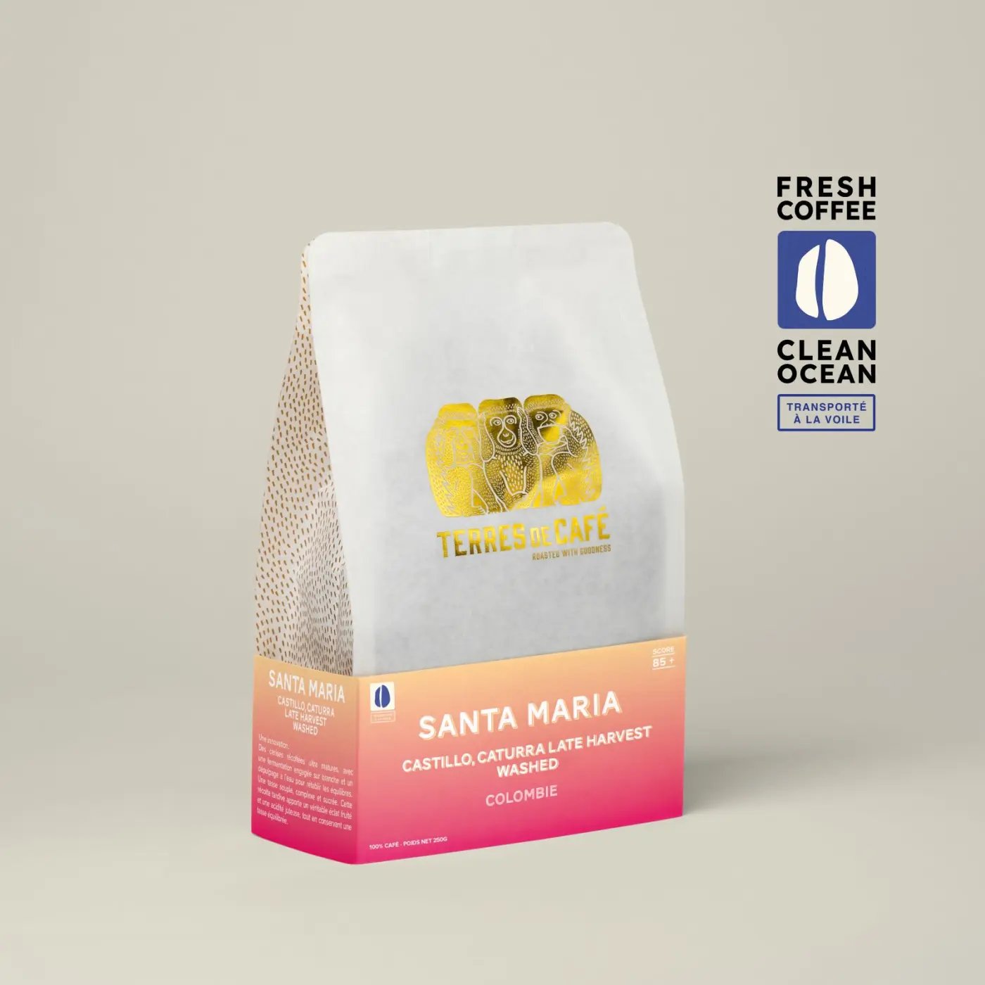 Finca Santa Maria Castillo Caturra Late Harvest Washed