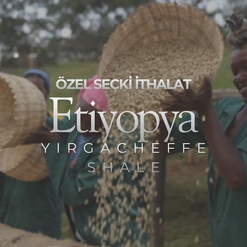 Ethiopia Yirgacheffe Shale