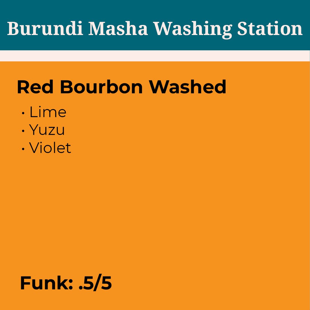 Masha Washing Station Burundi Washed