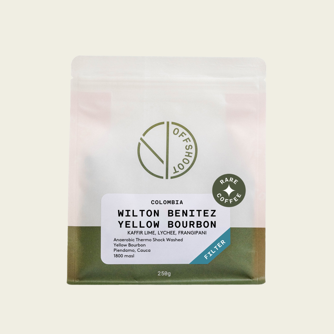 Wilton Benitez - Yellow Bourbon *Rare*