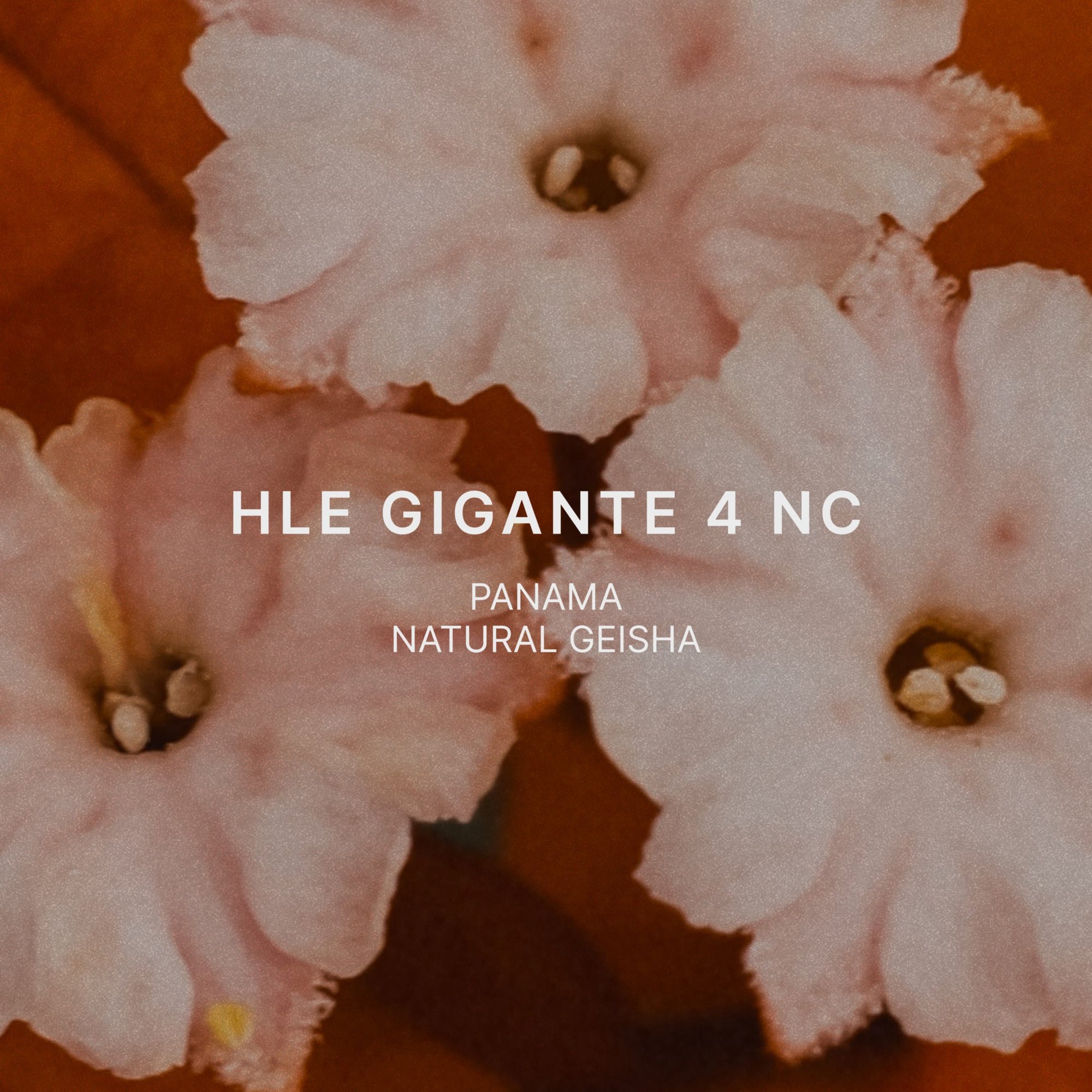 HLE GIGANTE 4 NC