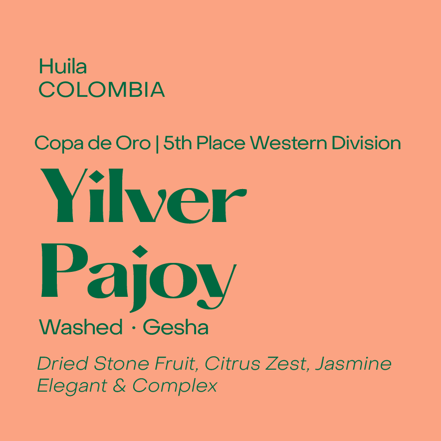 Copa de Oro | Colombia Yilver Pajoy, Washed Gesha