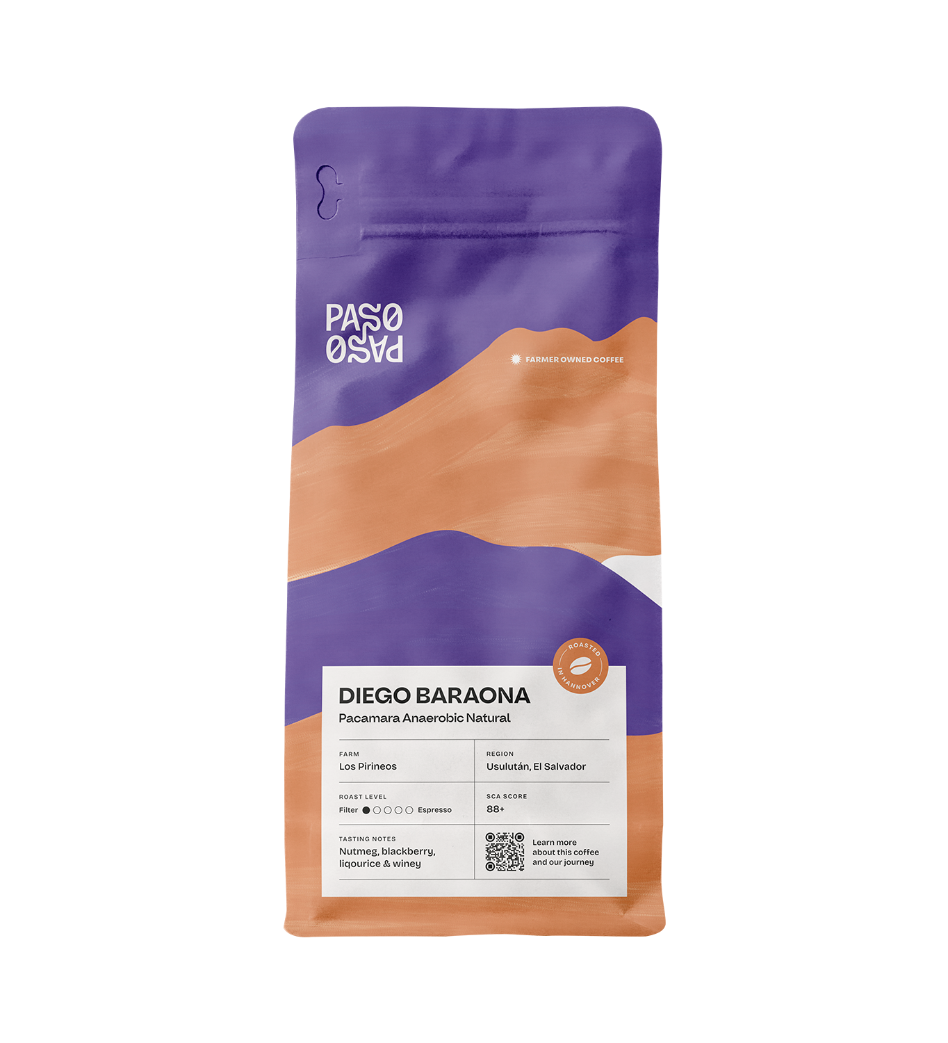 El Salvador Diego Baraona Pacamara Anaerobic Natural