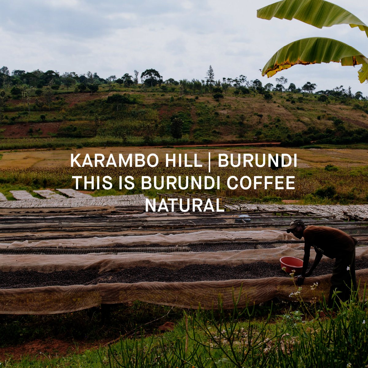 KARAMBO HILL CWS
