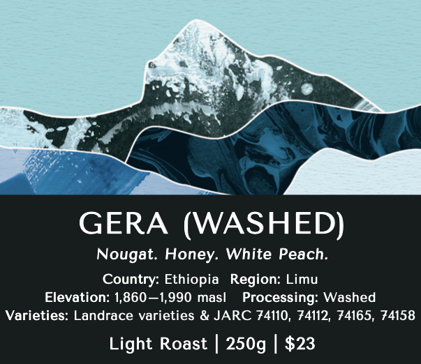 Gera (Washed) - Ethiopia