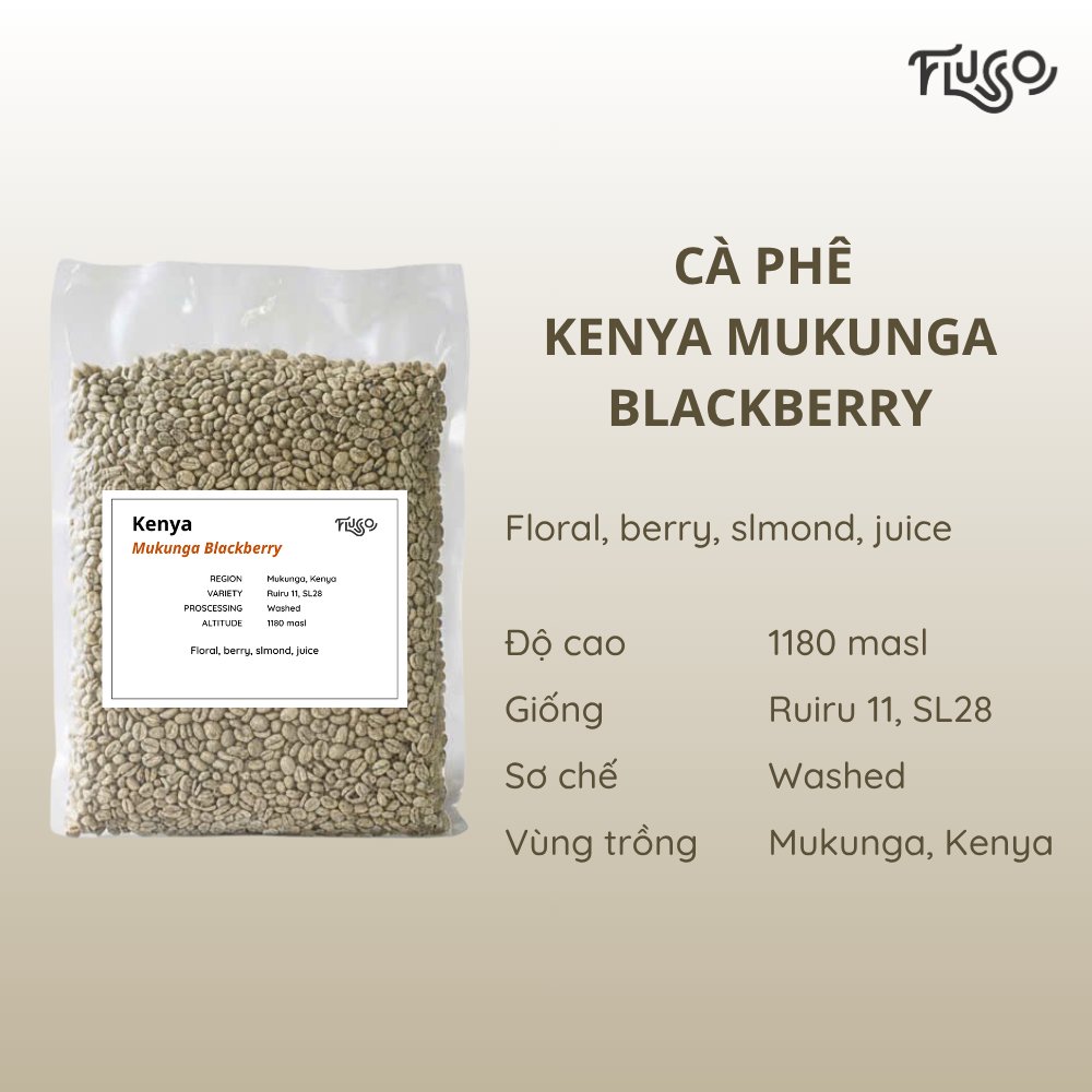 Kenya Mukunga Blackberry (Green)
