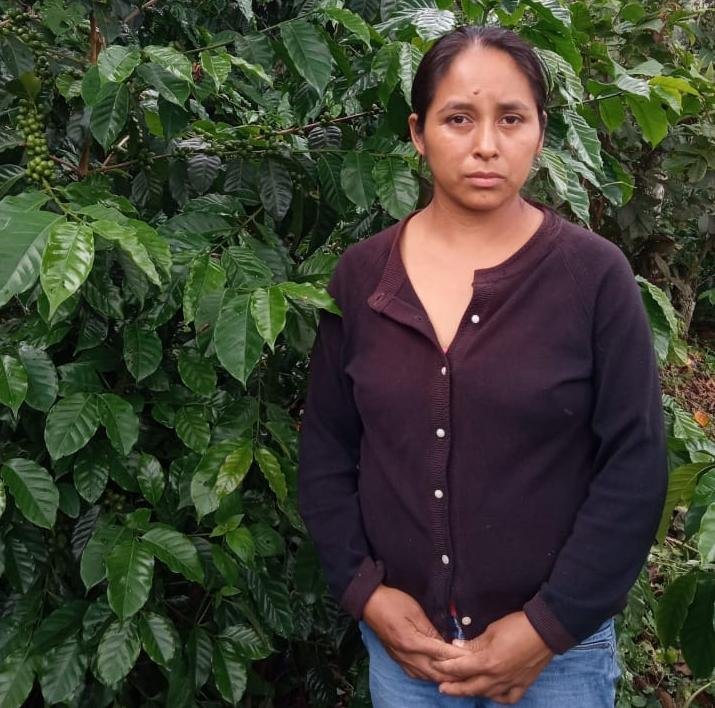 Maria Clavelita, Mexico