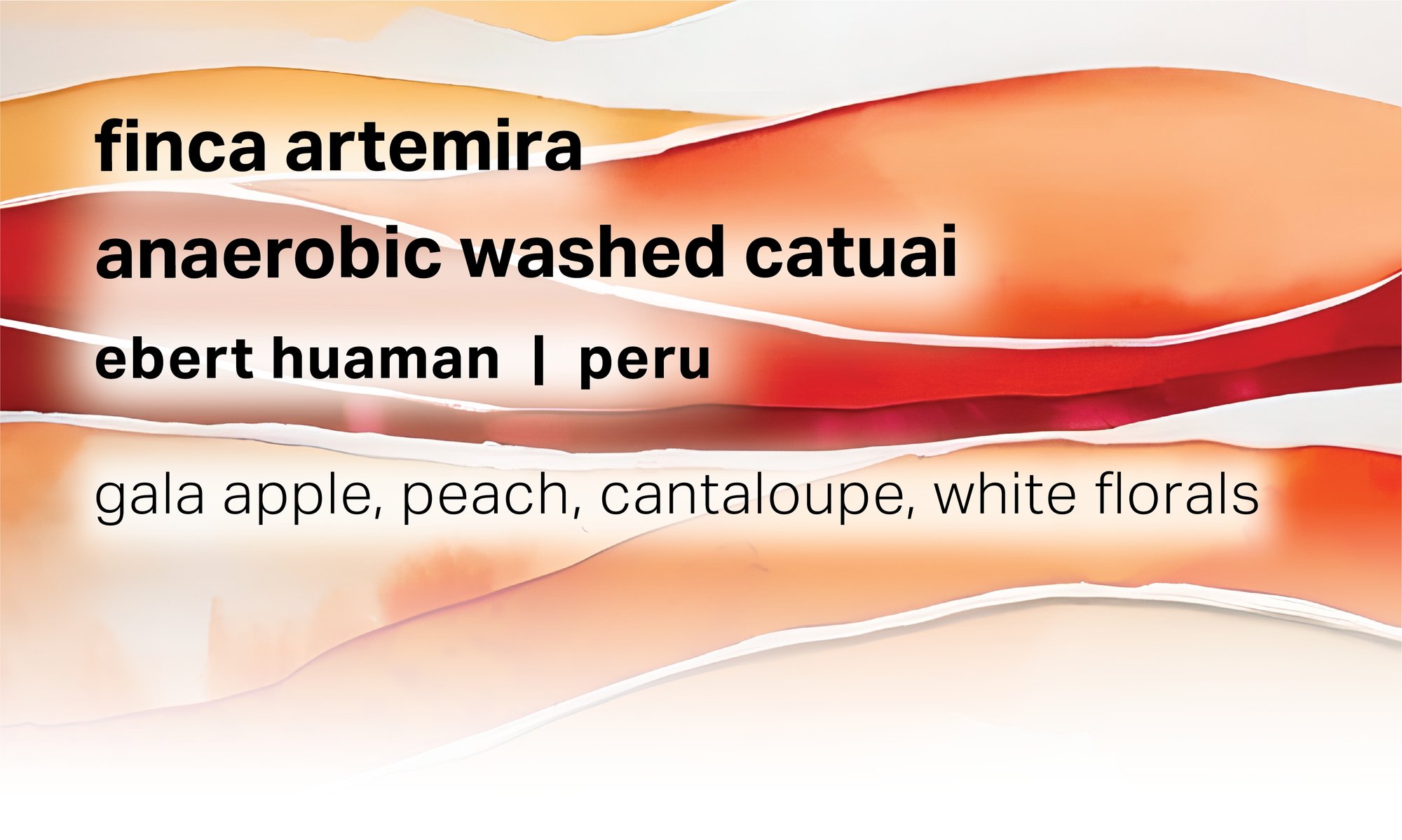 Finca Artemira - Ebert Huaman - Anaerobic Washed Catuai - Peru