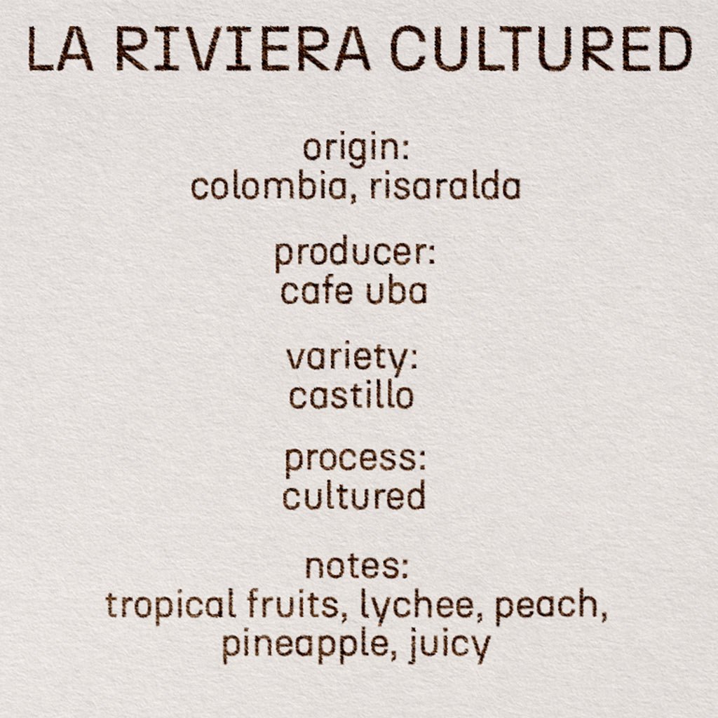 la riviera cultured