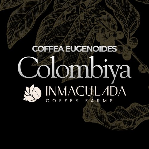 Colombia Inmaculada Farm Caffea Eugenoides