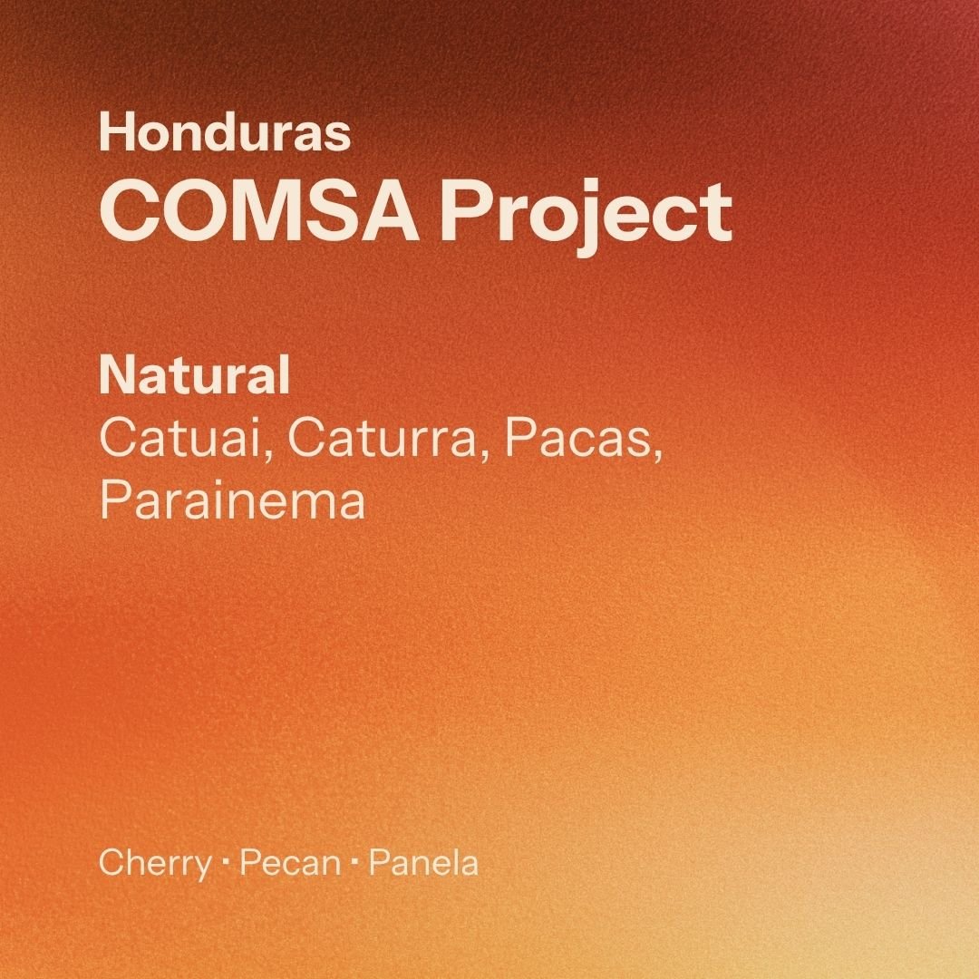 COMSA - Café Orgánico Marcala S.A. (Honduras)