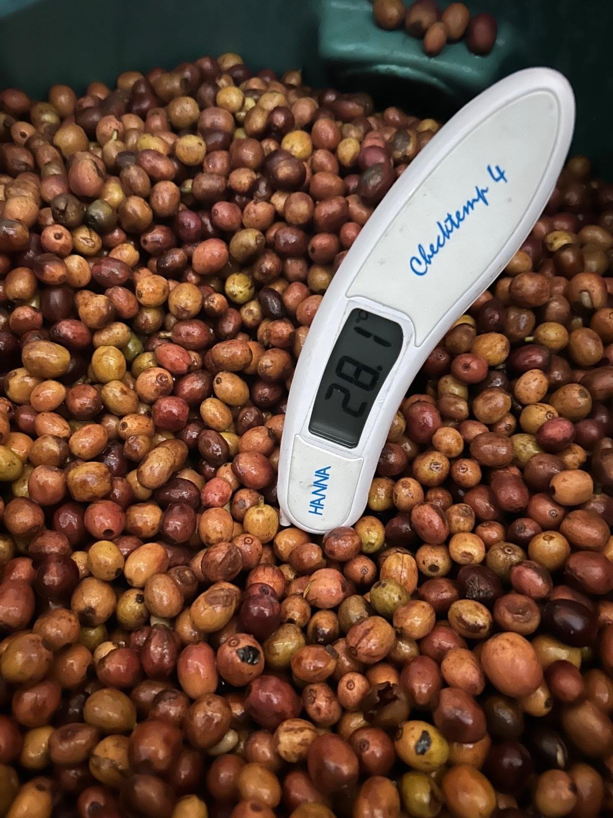Uganda Mubuku Anaerobic Natural ESPRESSO