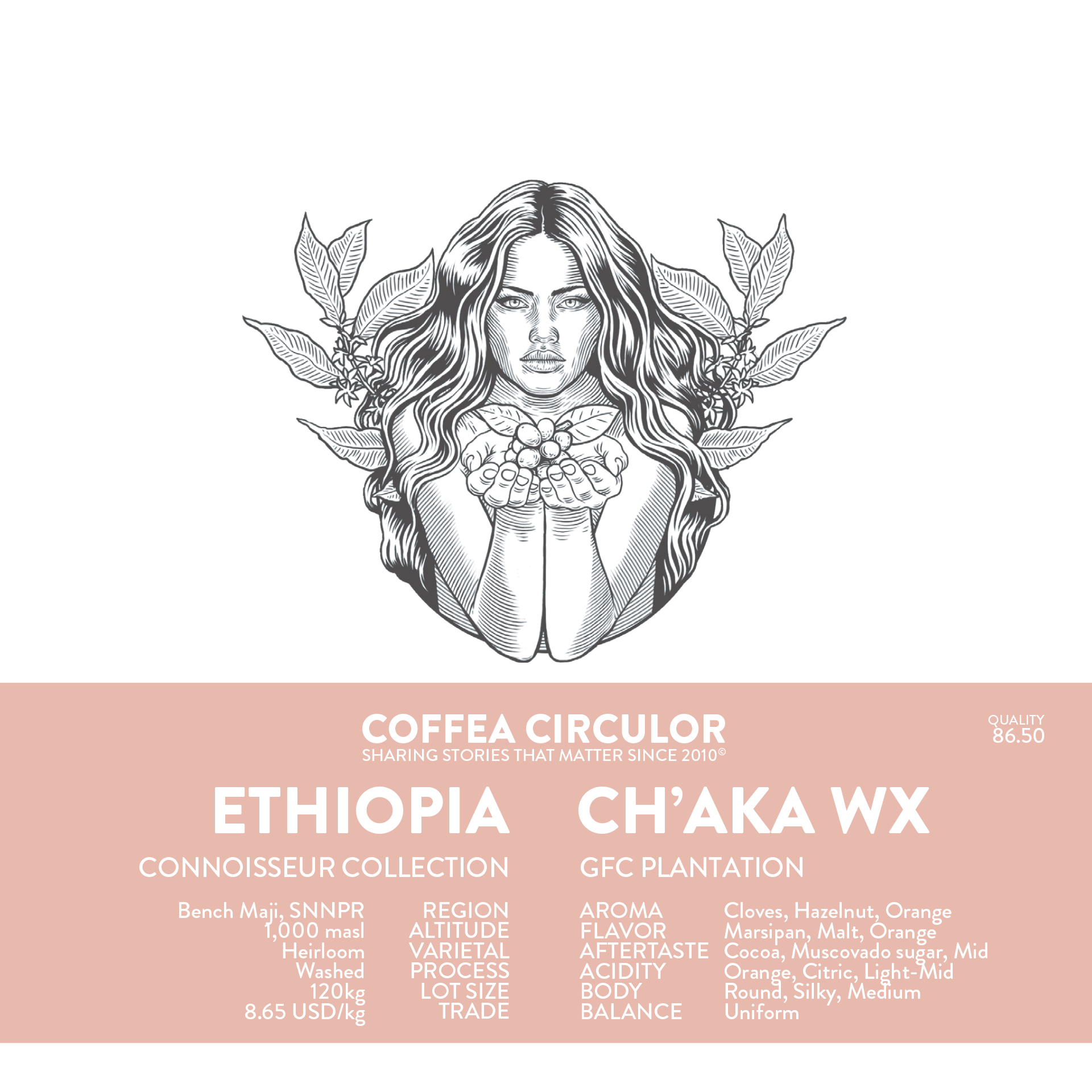 ETHIOPIA Chaka Washed WX