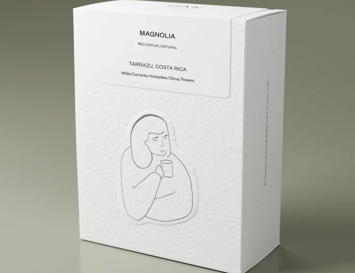 Dak Coffee Roasters - Magnolia - Costa Rica - Natural Process