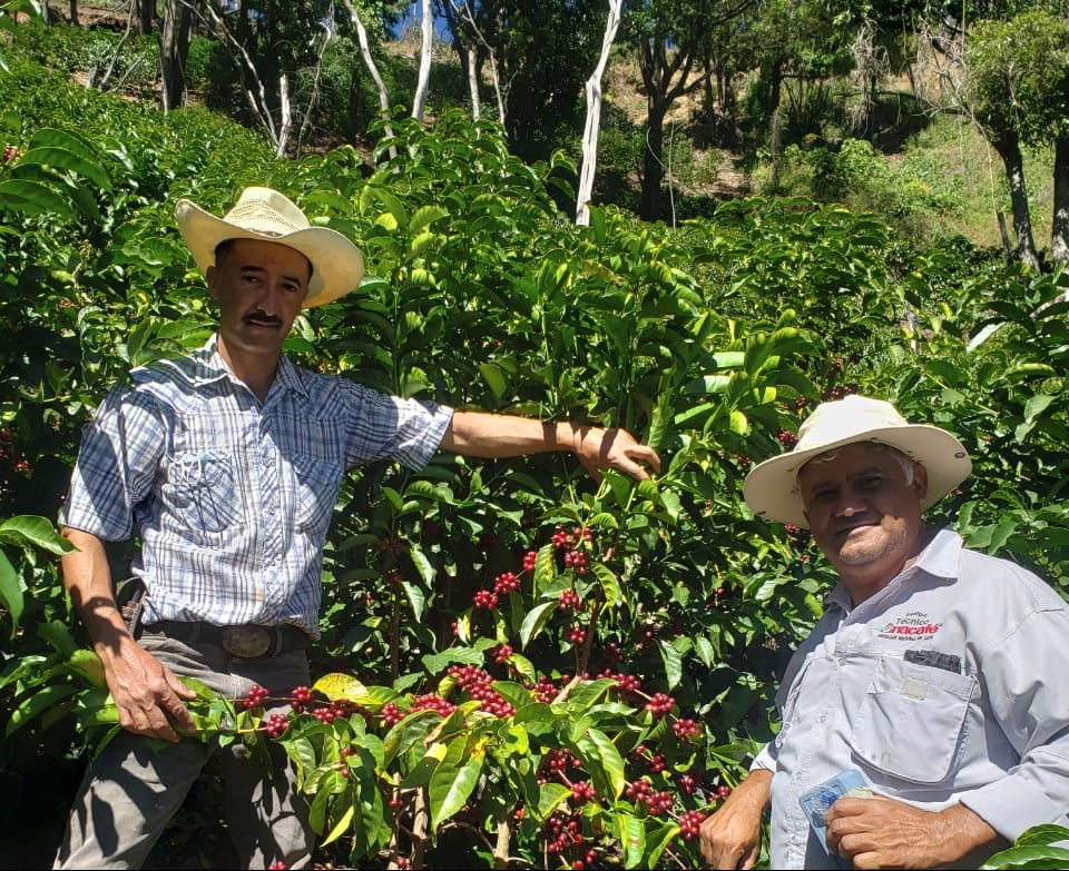 Guatemala Fredy Orantes Natural