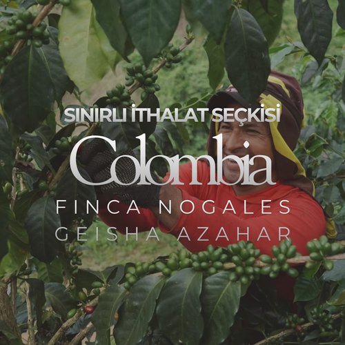 Colombia Finca Nogales