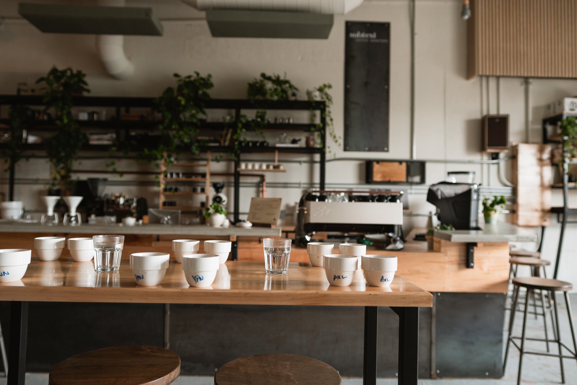 Coffee Cupping with Subtext