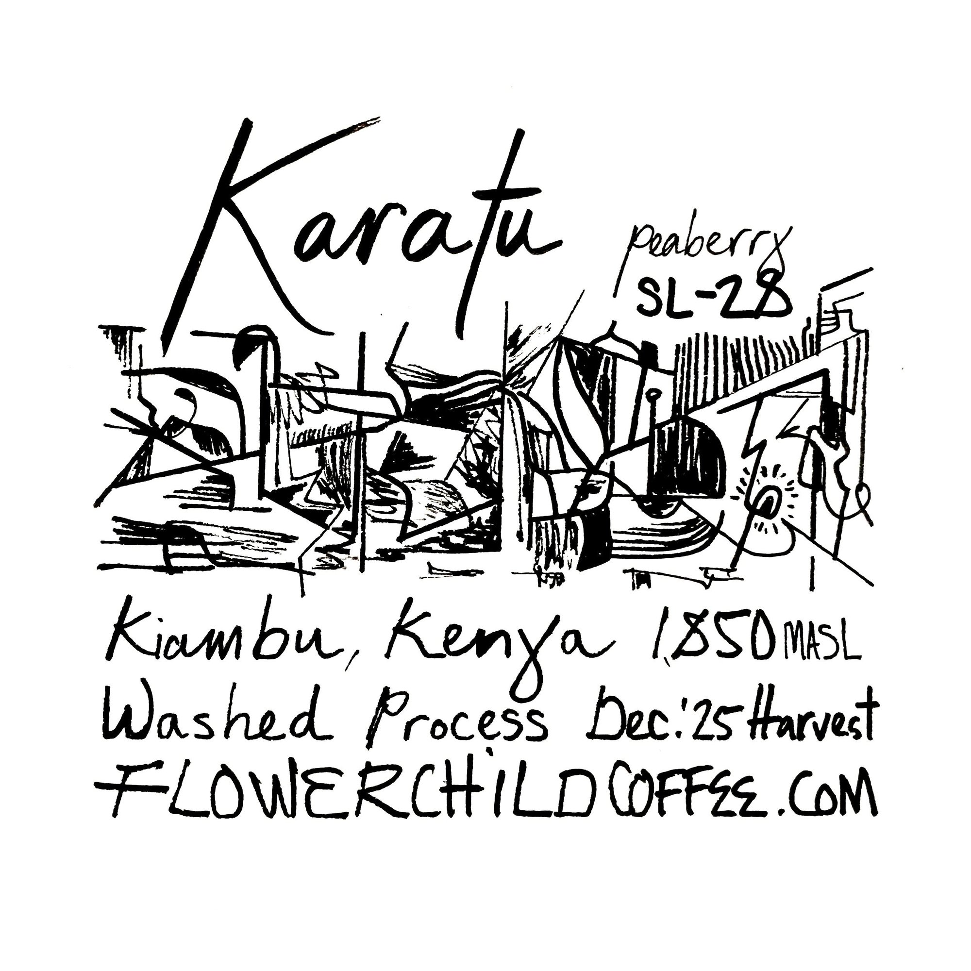 Karatu