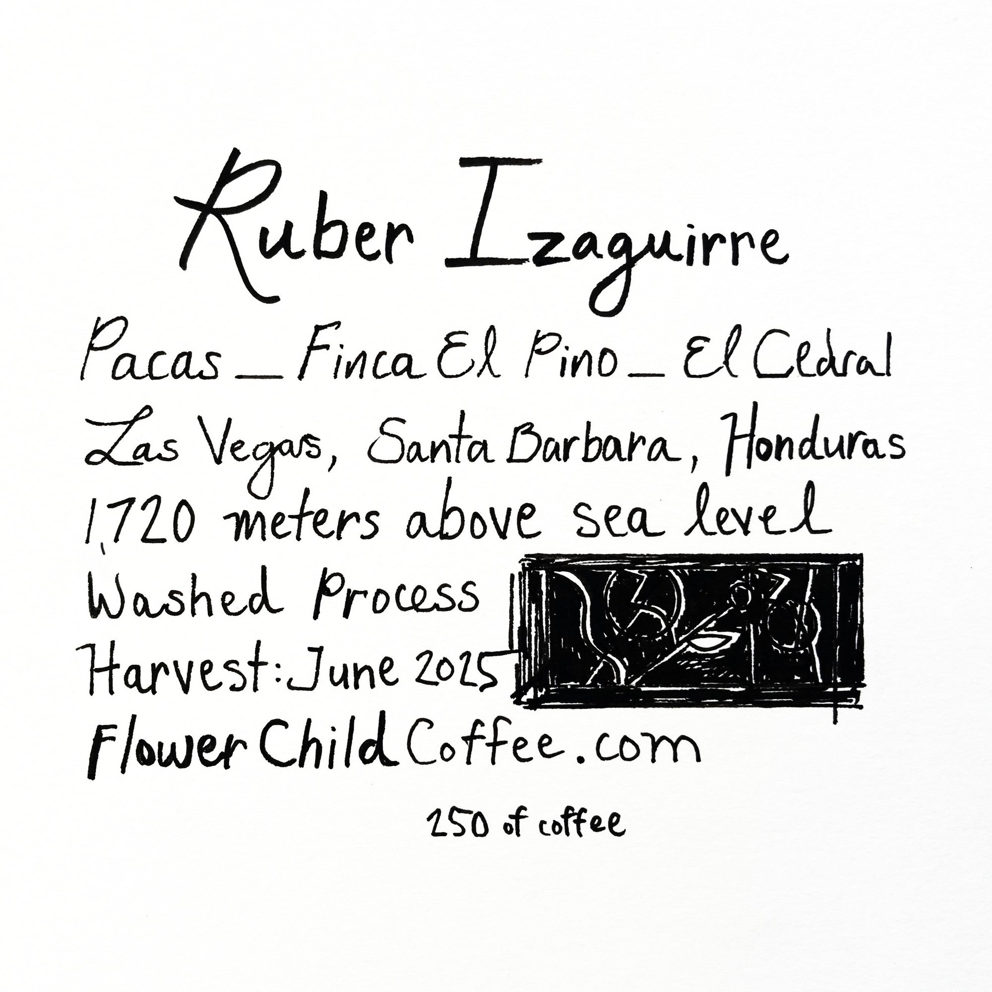 Ruber Izaguirre
