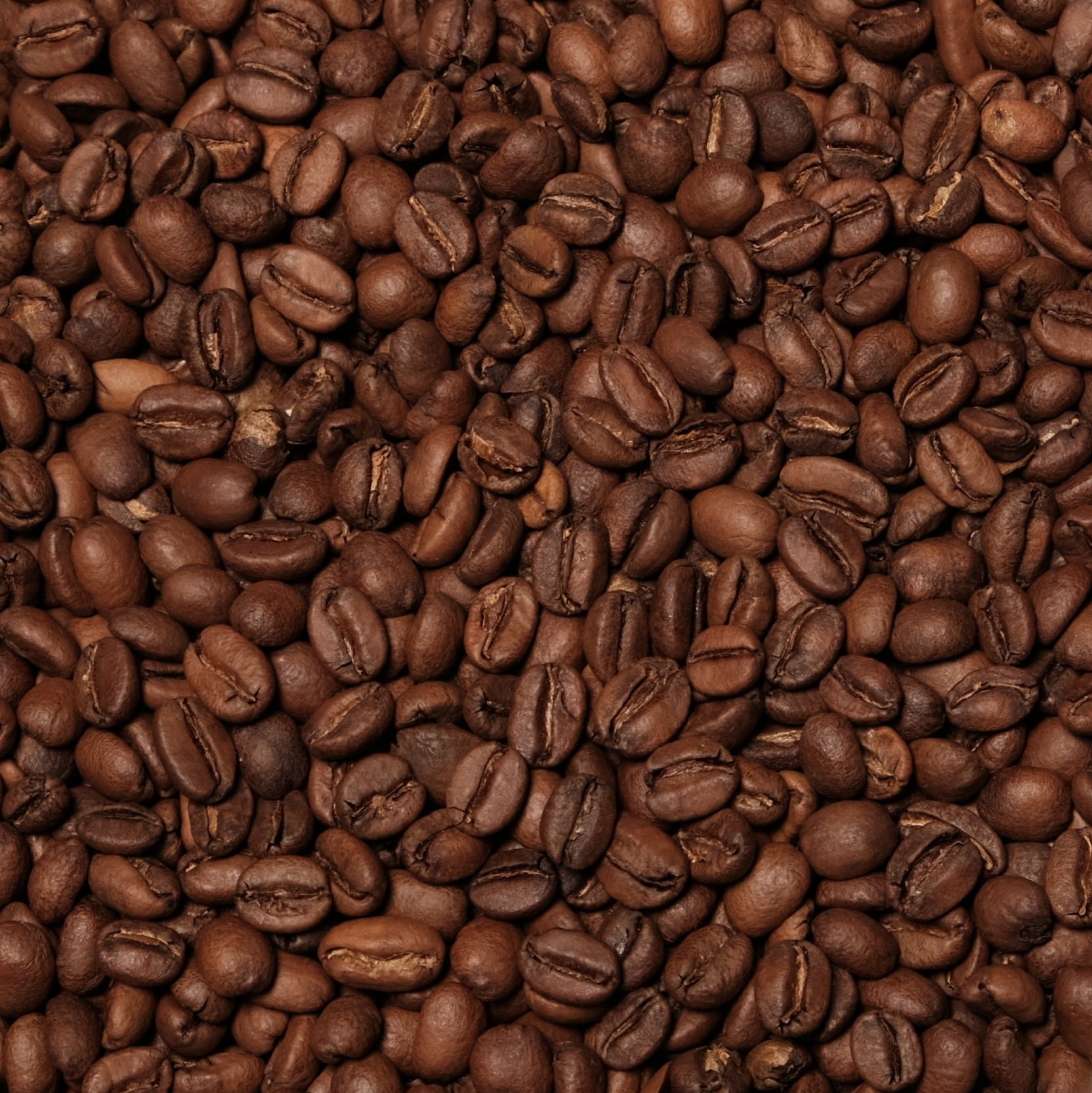 Ethiopia Ayla Bombe Filter