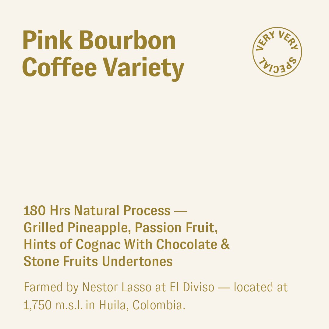 Pink Bourbon, Nestor Lasso, Colombia