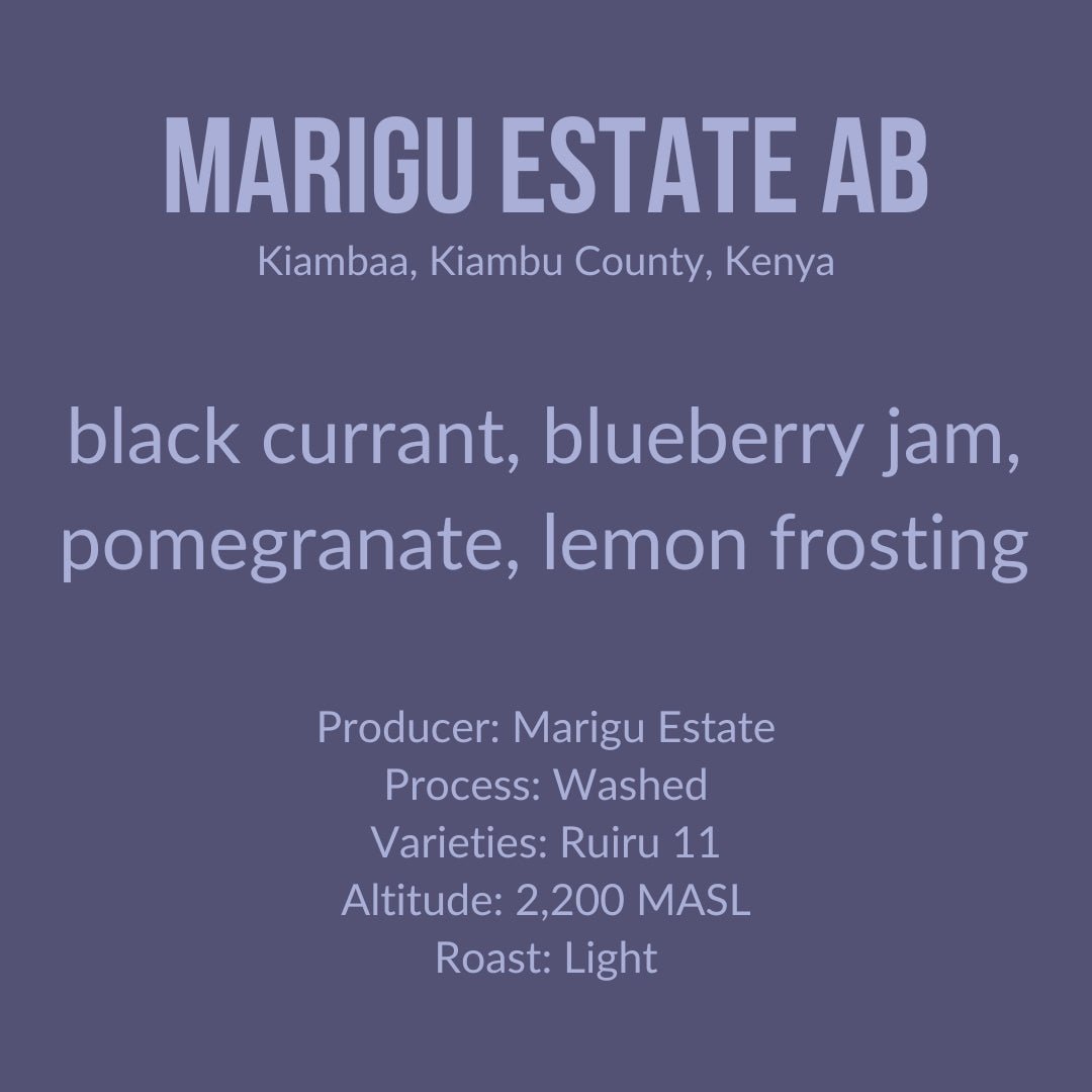 Marigu Estate AB, Kenya