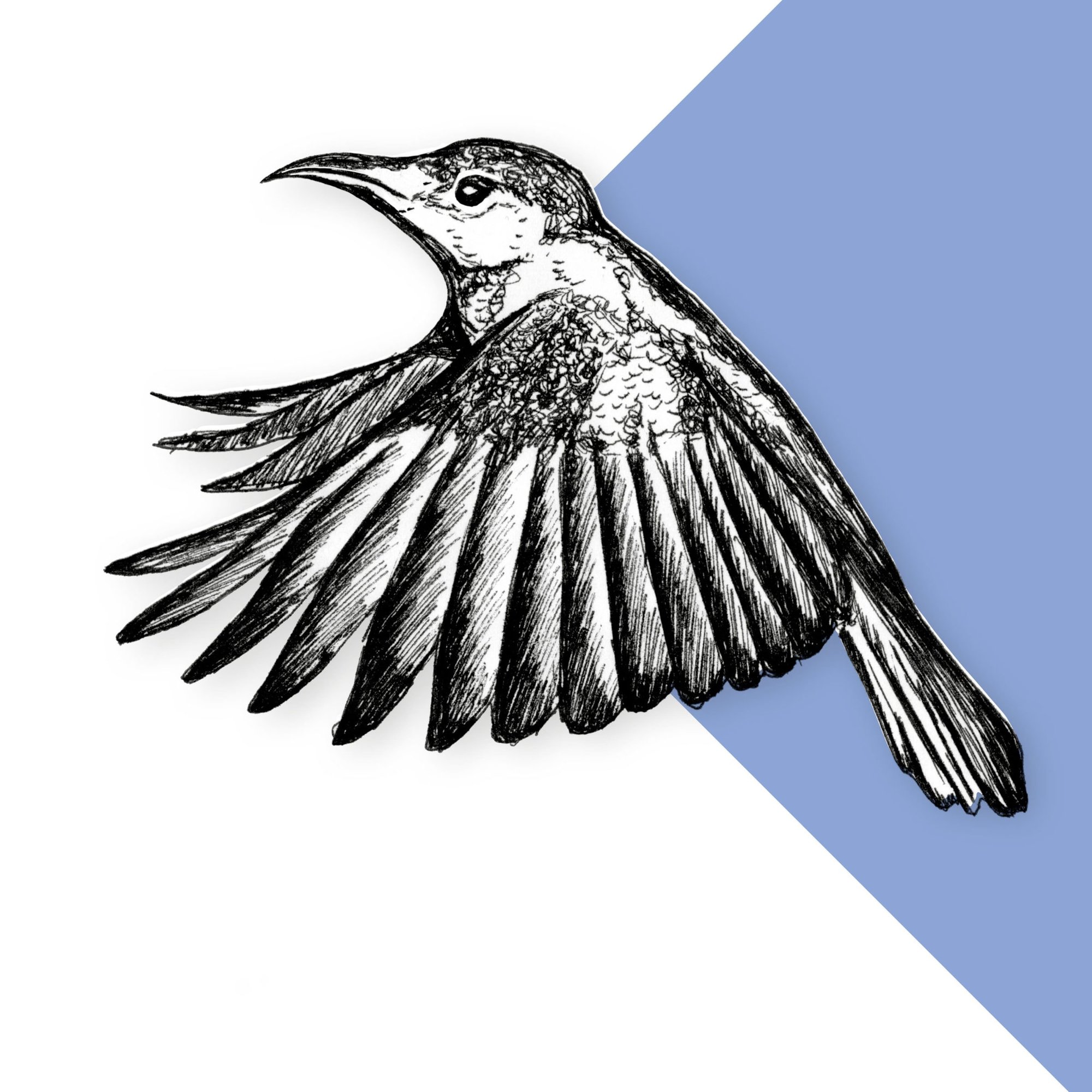 Sunbird