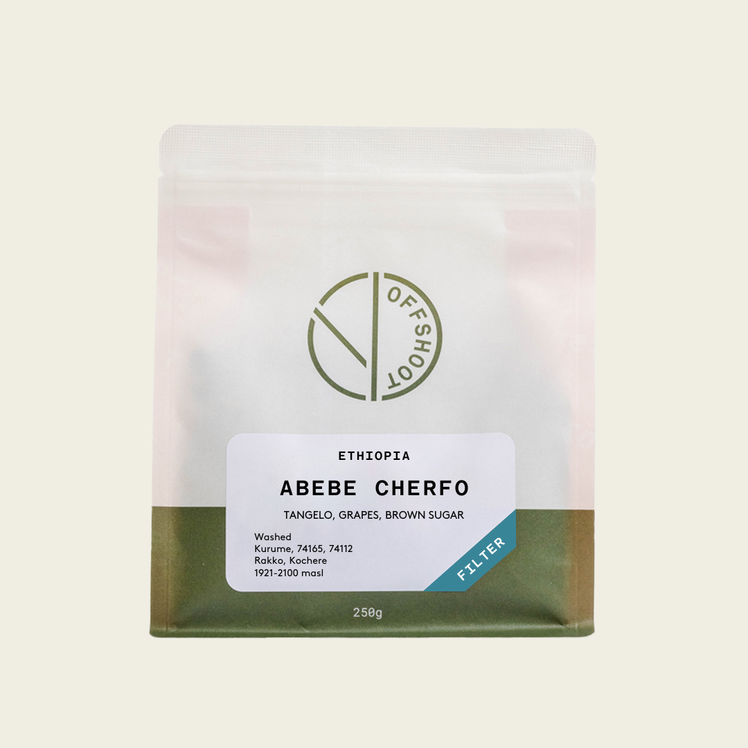 Abebe Cherfo