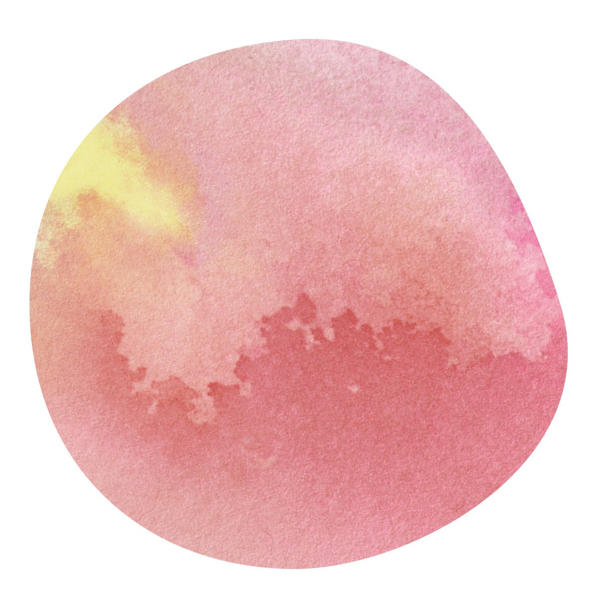 【販売終了】KOKOSE -74158- / Ethiopia