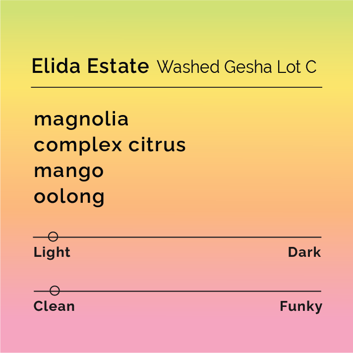 Elida Estate - Washed Gesha Lot C