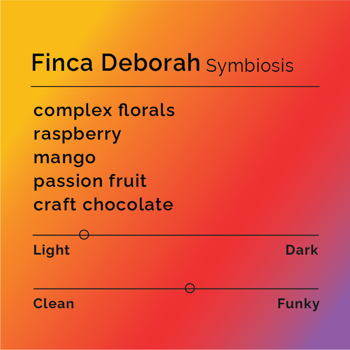 Finca Deborah - Symbiosis