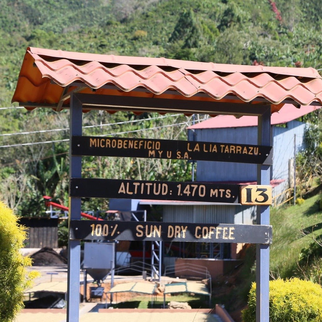 ’Costa Rica Finca El Dragon