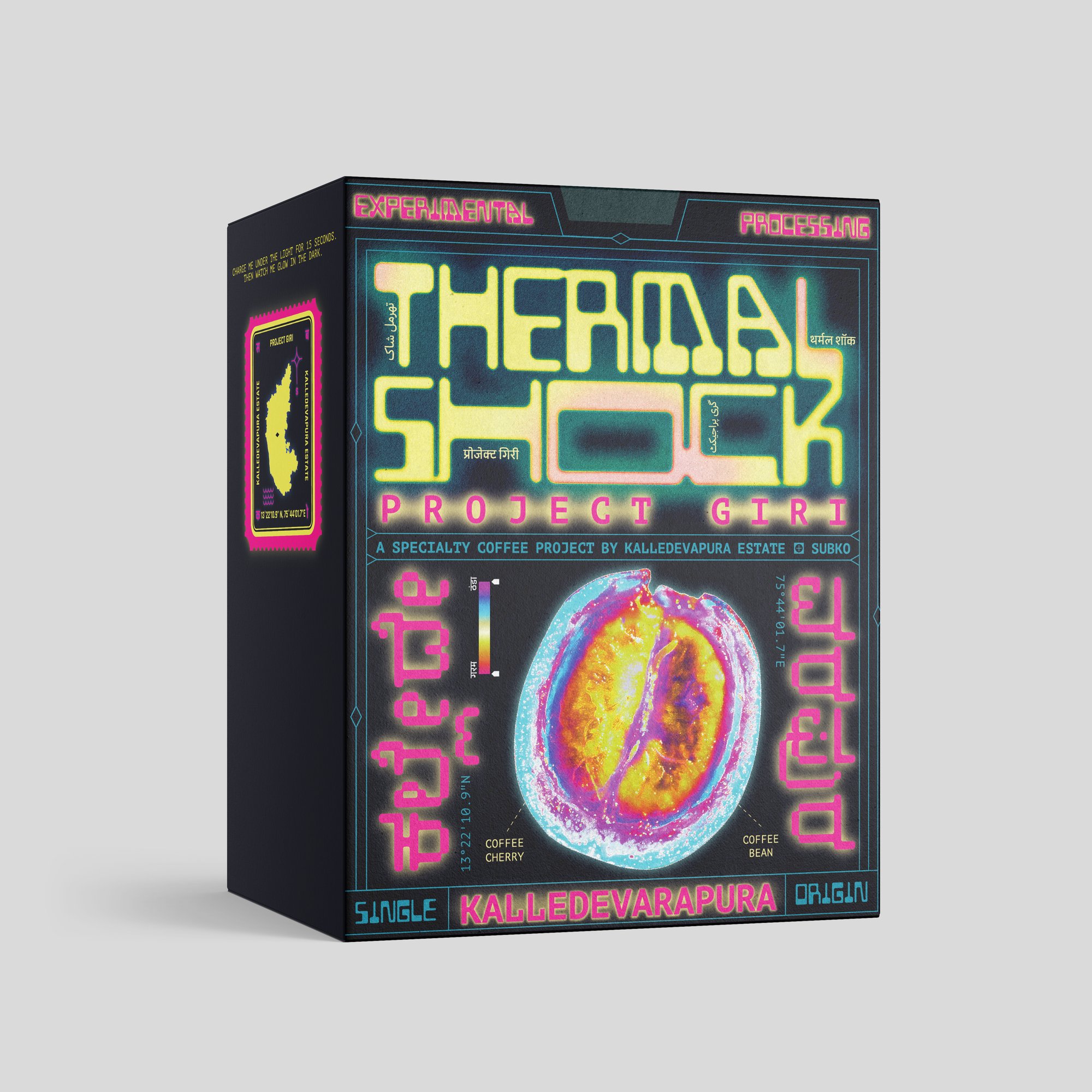 Project Giri : Kalledevarapura Estate, Karnataka: Thermal Shock (Medium Roast)