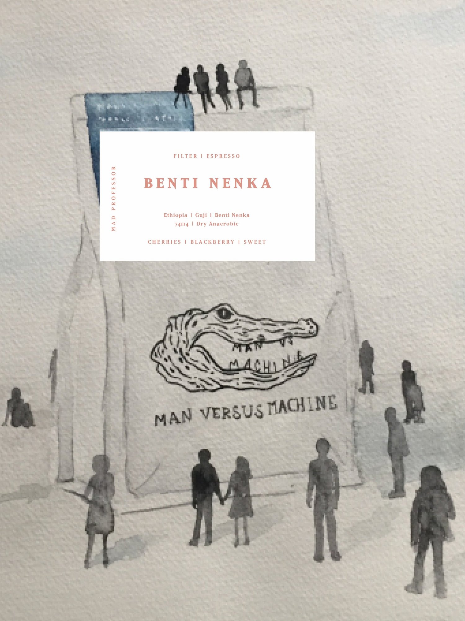 BENTI NENKA, ETHIOPIA, DRY ANAEROBIC *MAD PROFESSOR*