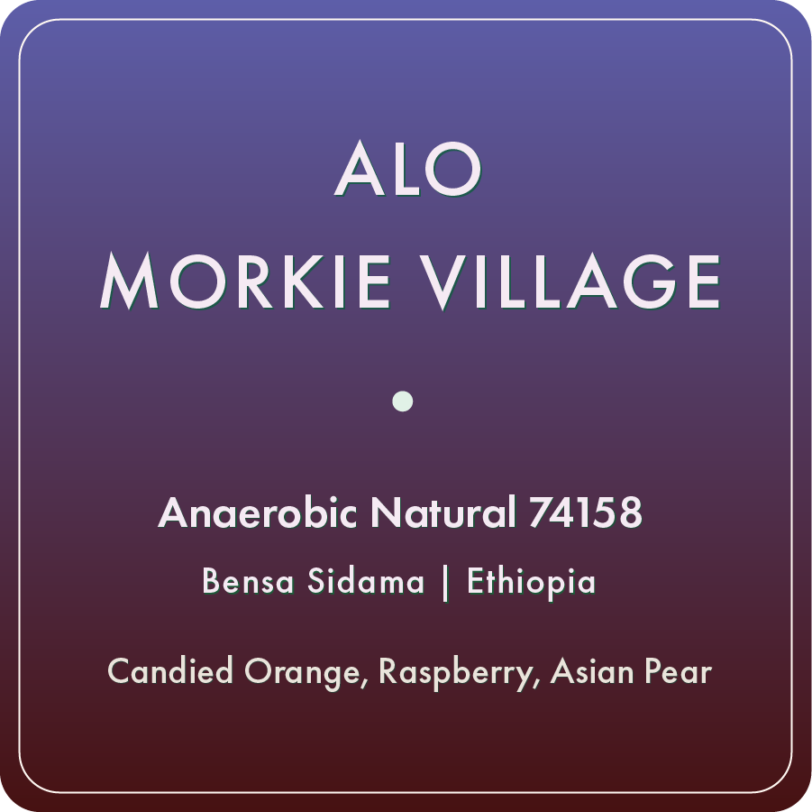 Alo Morkie Village