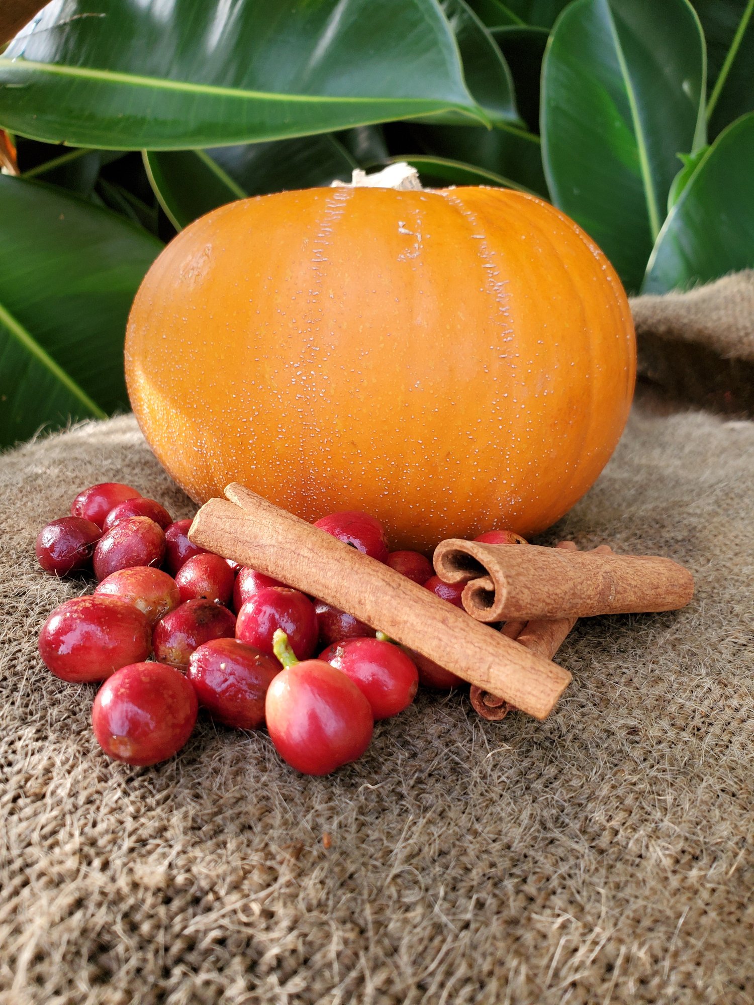 Kona Pumpkin Spice