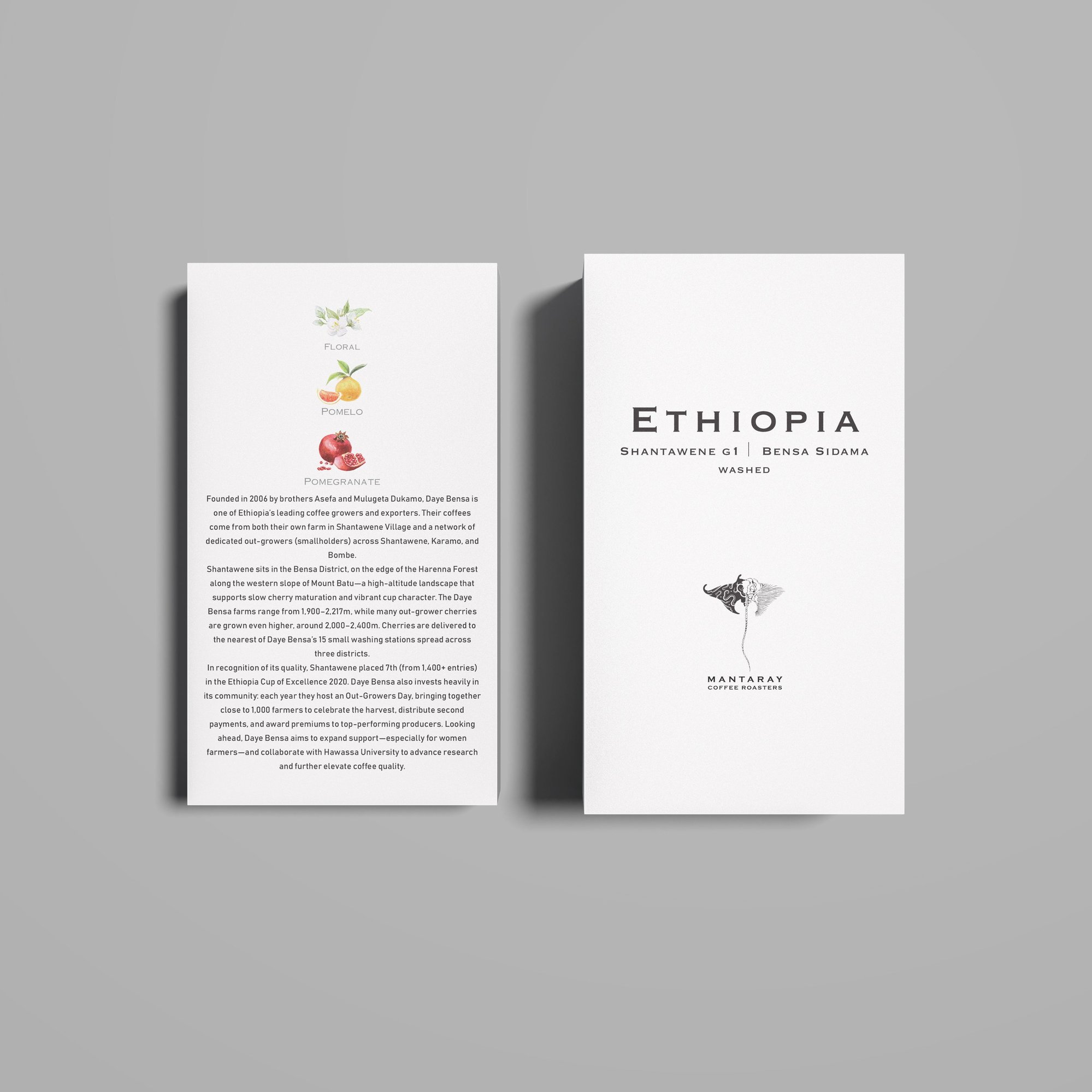 Ethiopia Shantawene Washed G1 | Bensa Sidama | (Single Origin Espresso )